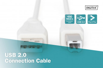 Assmann USB 2.0 connection cable, type A - B