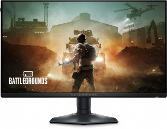 Dell 24,5
