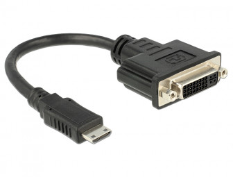 DeLock Adapter HDMI Mini-C male > DVI 24+5 female 20cm
