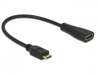 DeLock Cable High Speed HDMI with Ethernet - mini C male > A female