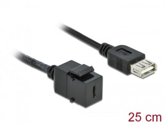 DeLock Keystone Module USB 2.0 C female > USB 2.0 A female with cable