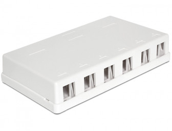 DeLock Keystone Surface Mounted Box 6 Port