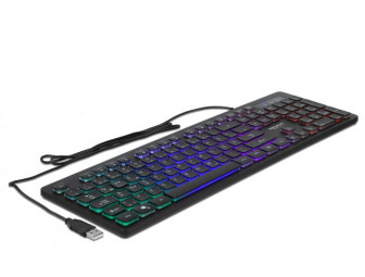 DeLock RGB Illumination USB Keyboard Black DE
