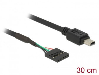 DeLock USB 2.0 pin header female 5 pin > USB 2.0 Type Mini-B male 30cm cable Black