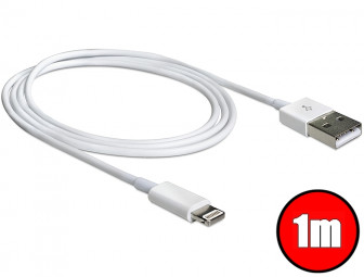 DeLock USB adat és tápkábel iPhone5
