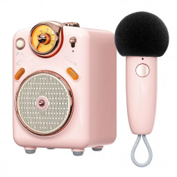 Divoom Fairy-OK Bluetooth Speaker+Microphone Pink