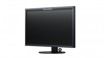 Eizo 31