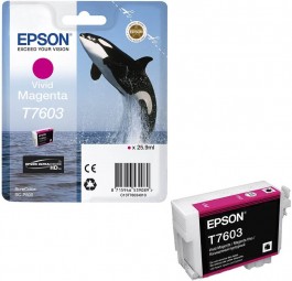 Epson T7603 Vivid Magenta