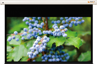 Funscreen Pro Matt White Motor 223x360 cm Format 16:9 Premium Plus SA