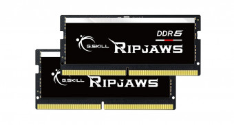 G.SKILL 64GB DDR5 4800MHz Kit(2x32GB) Ripjaws SODIMM