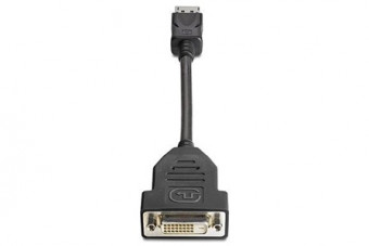 HP DisplayPort - DVI-D (Dual Link) Adapter