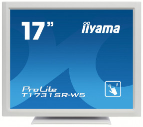 iiyama 17,5