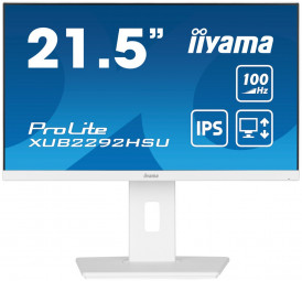 iiyama 21,5