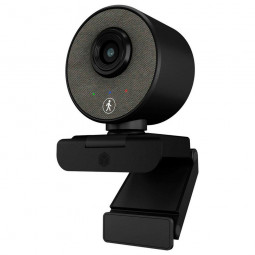 Raidsonic IcyBox IB-CAM501-HD Webkamera Black