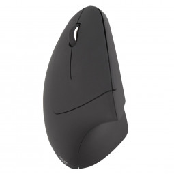 TnB Ergonomic Comfort at the Office Wireless Mouse Black