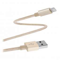 TnB USB Lightning braided cable 2m Gold